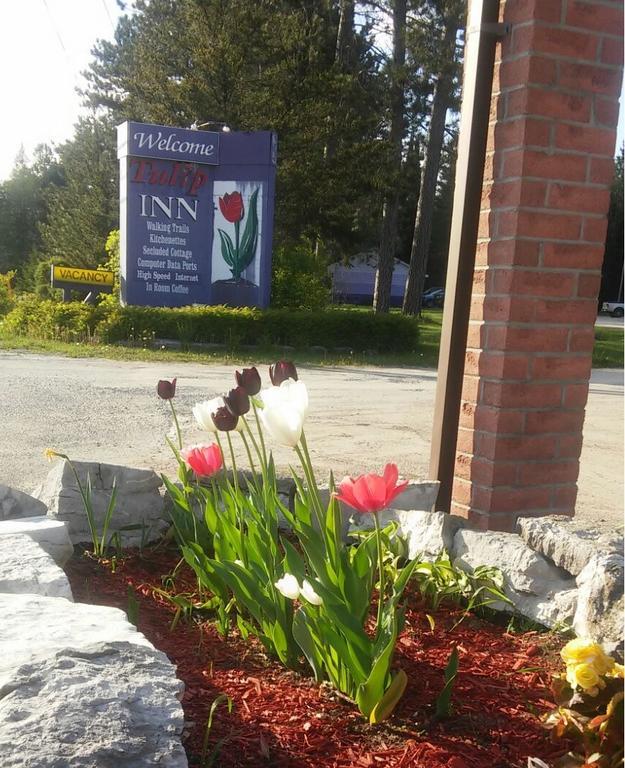 Tulip Inn ハンツビル エクステリア 写真